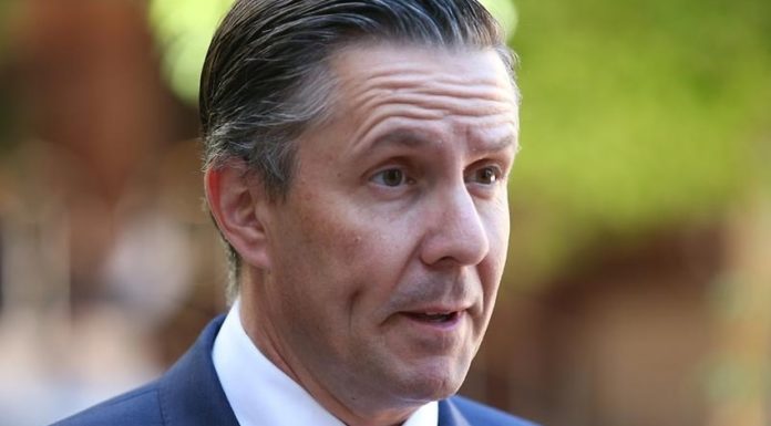 Business steers Labor’s climate plan cost – SBS News