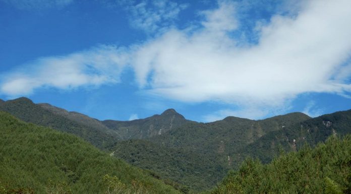 Andes and Metminco set to merge