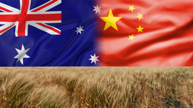 Wheat feared to be next on China’s export ban list, as business heads call for diversification