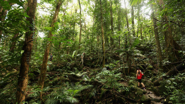 Australians accrue record annual leave amid domestic tourism push