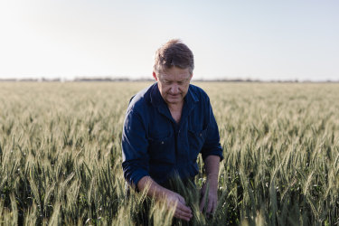 ‘We’ve got 80-year-olds driving trucks’: Farmers scramble to find harvest workers as border closures bite
