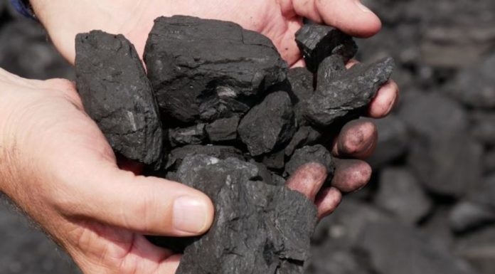 Coal done by mid-2030s, energy boss signals