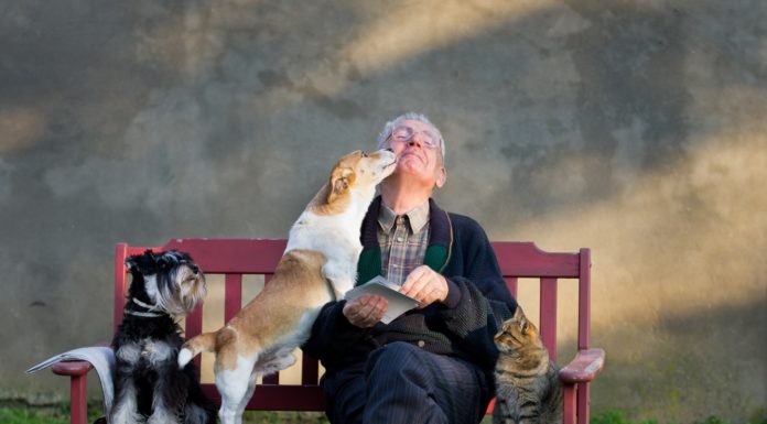 Making ageing mainstream