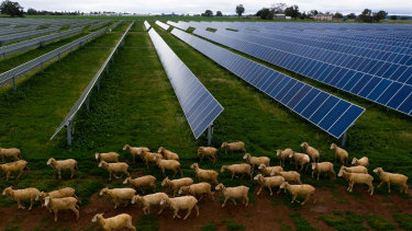 Australia’s next mining boom could be ‘green’ as race to net zero intensifies