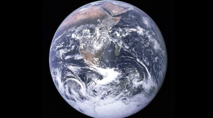 How business can make a difference to climate change – ABC News