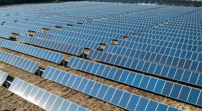 GenusPlus flags move to renewables
