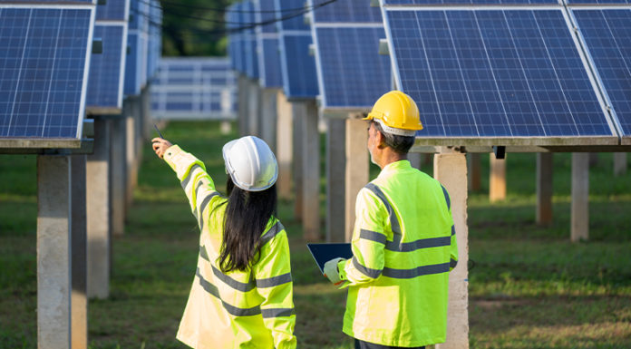 How to embed sustainability across a business effectively – Pro Bono Australia