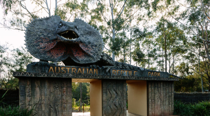 Reptile Park named state ‘Business of the Year’ – Central Coast News – Central Coast Community News