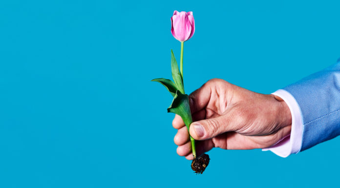 Sustainable Business Went Mainstream in 2021 – Harvard Business Review