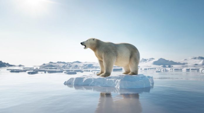 Here’s How Climate Change Crisis Could Impact Business Operations And Policies In 2022 – Forbes