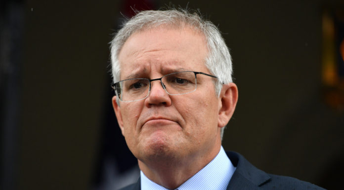 Michael Pascoe: ‘Stunt’ Morrison’s Novax serve aces his RATs disaster, for now
