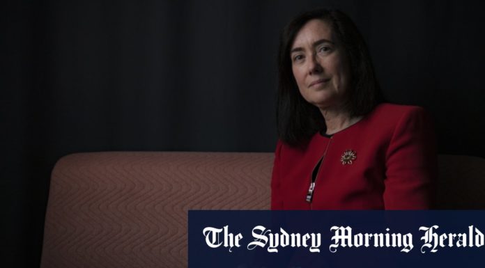 ‘I have faced men shouting’: New ACCC chief brings empathy after facing down bullies