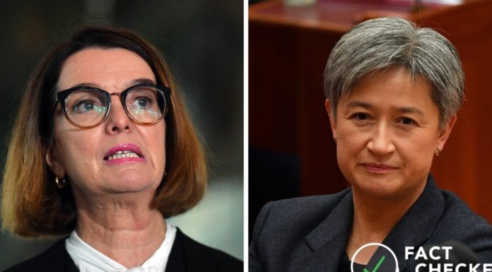 Fact check: Anne Ruston’s unemployment claims false and misleading