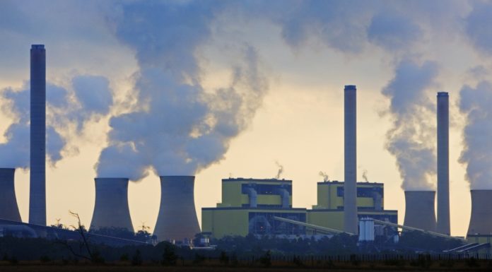 ‘Bloodbath’: Scrapped AGL demerger clears way for faster coal closures