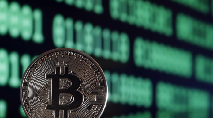 ‘Confidence has collapsed’: Bitcoin plunges as shaken investors flee cryptos