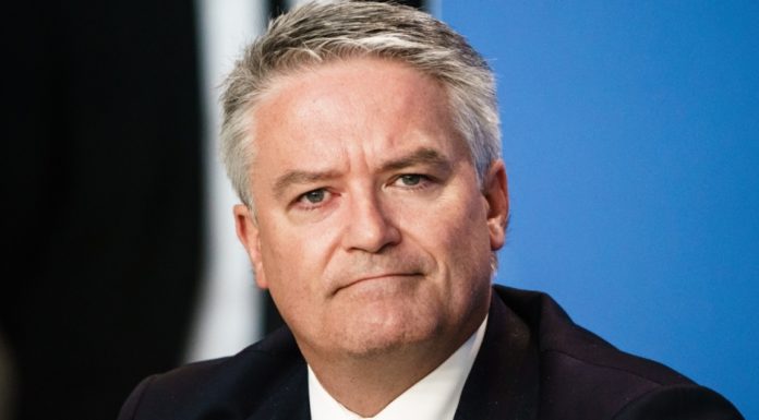OECD slashes growth outlook