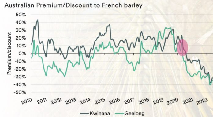 China curb on barley has been damaging