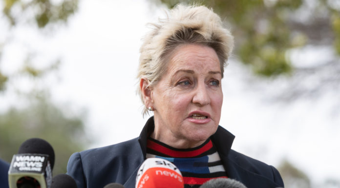 MacTiernan defends FMD comments amid onslaught