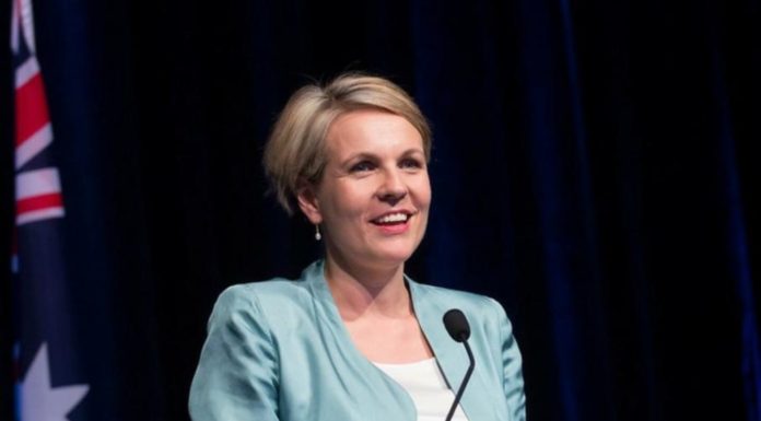 No decision on WA urea plant: Plibersek
